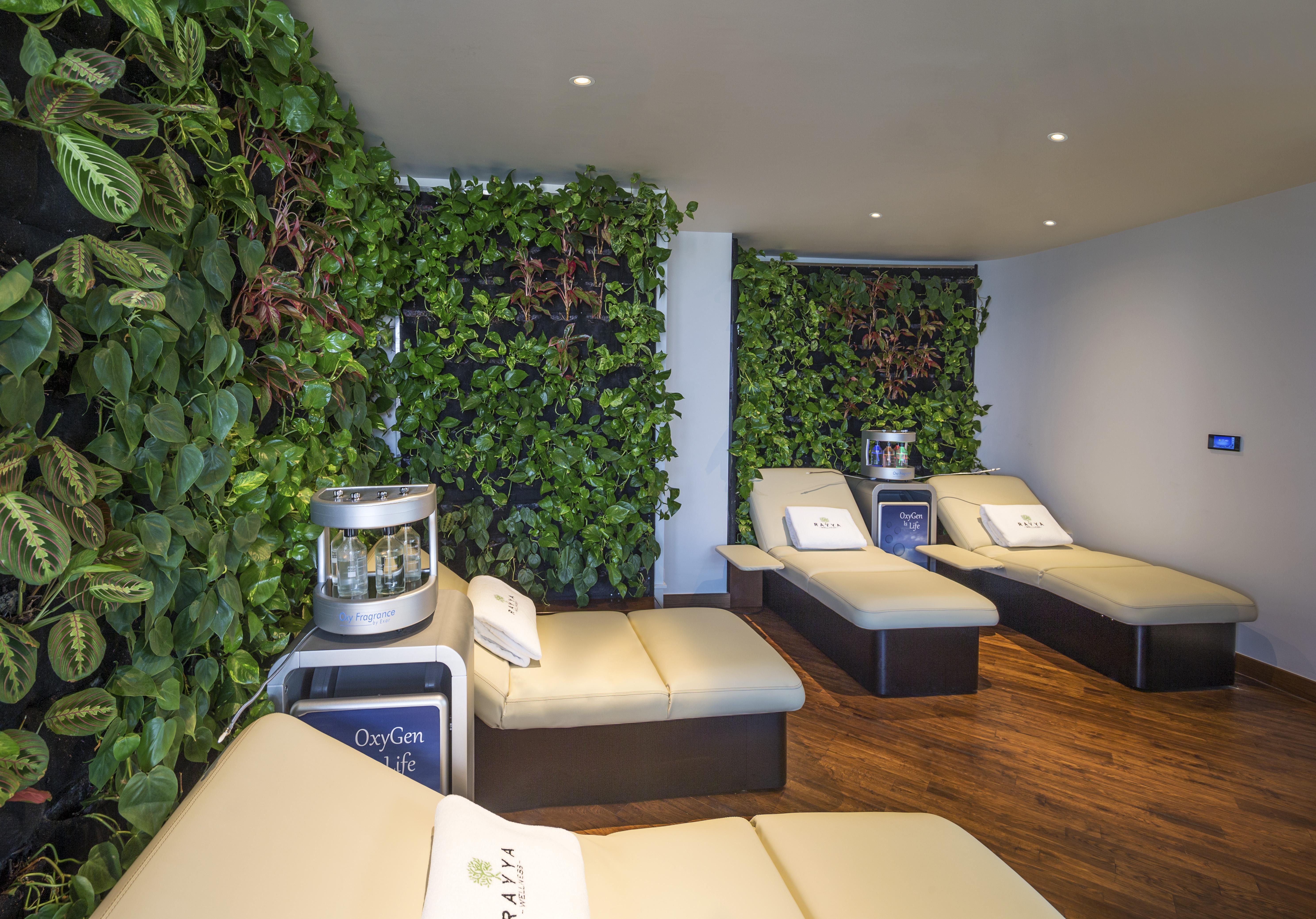 The Retreat Palm Dubai Mgallery By Sofitel Esterno foto The photo shows a relaxation or wellness area with several reclining lounge chairs. The chairs are light-colored and positioned against a backdrop of lush green plants that create a natural, calming atmosphere. There are also some modern features, su